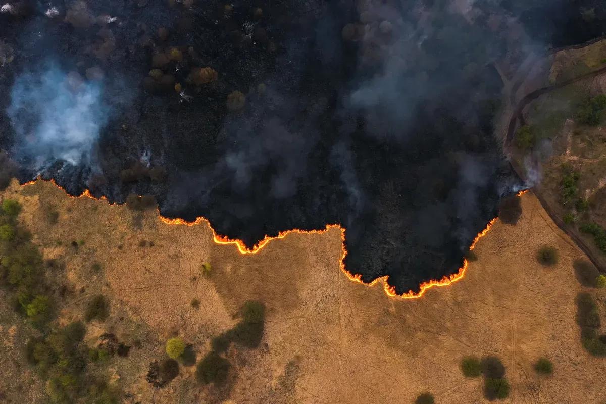 Imagen del artículo