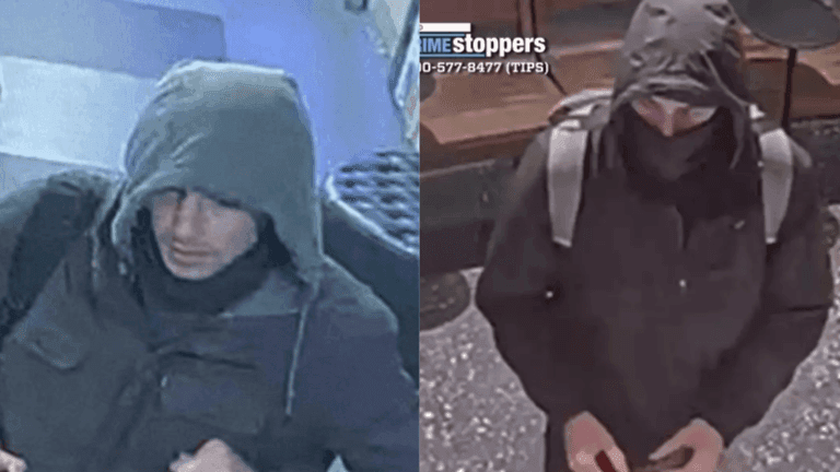 Imagen del artículo