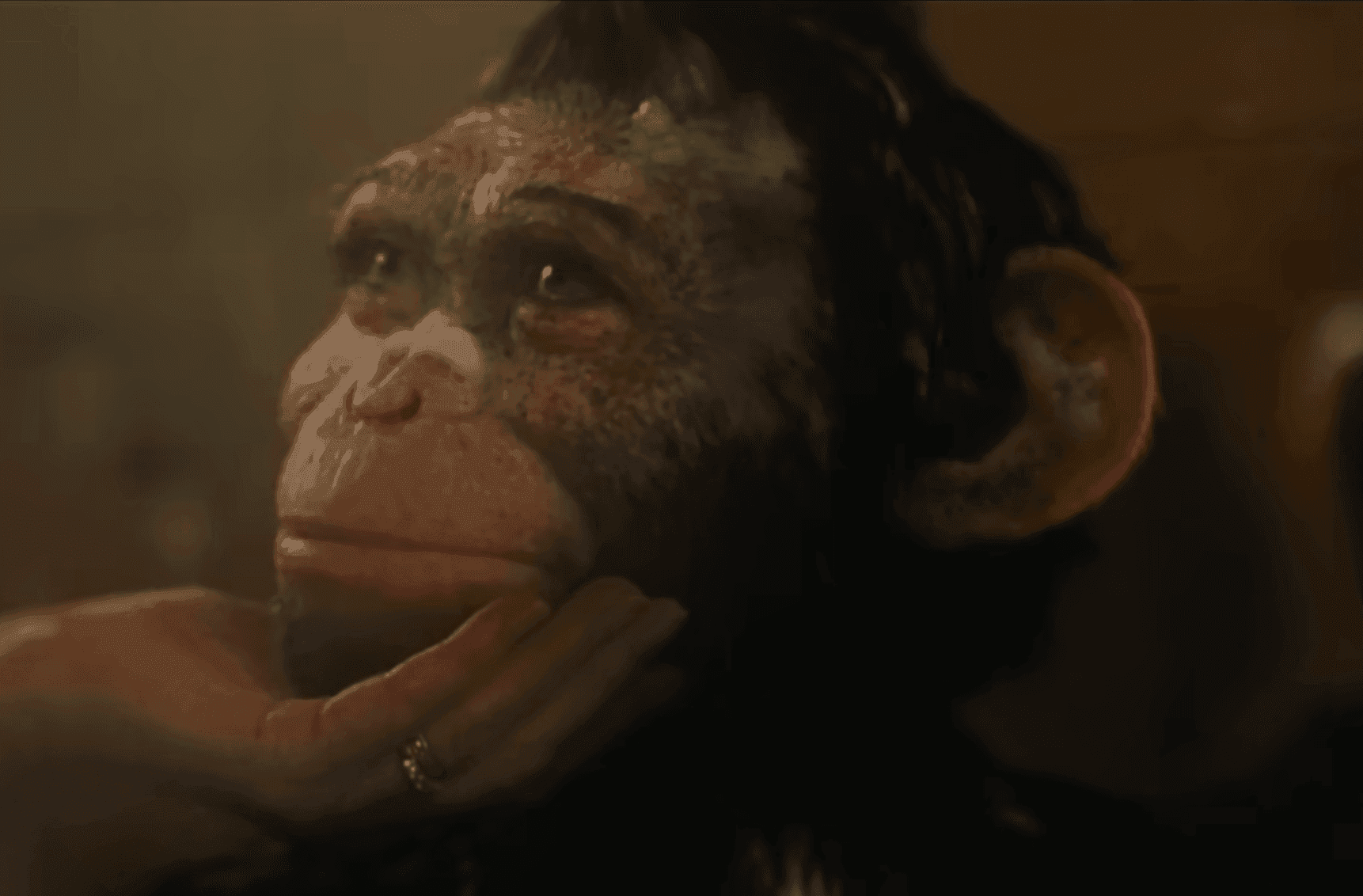 Imagen del artículo